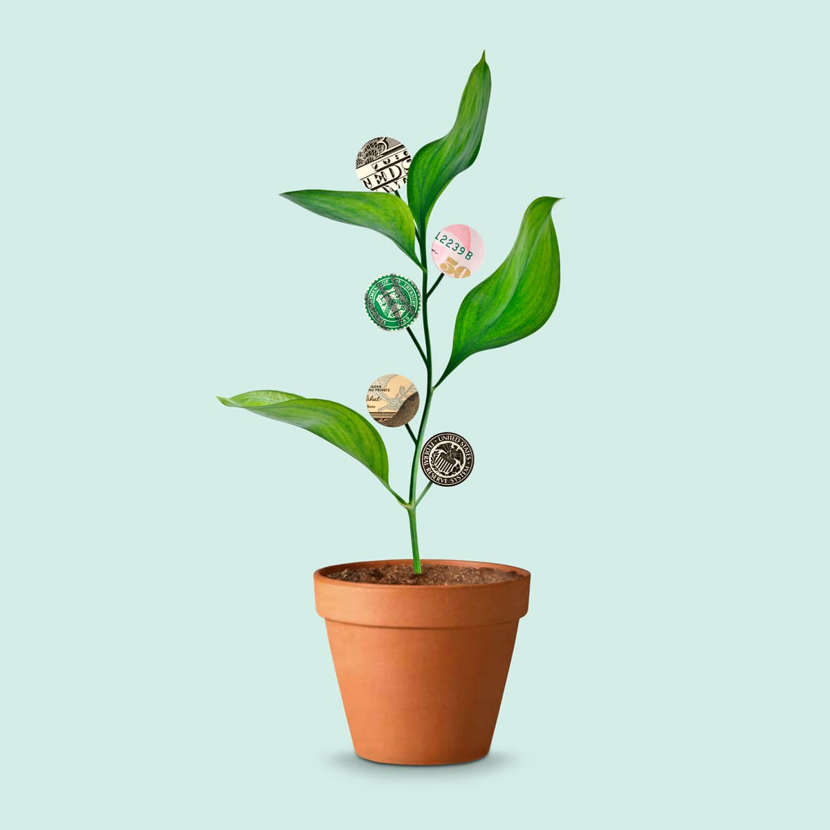 An illustration by Mariaelena Caputi that shows a plant whose fruits are money.