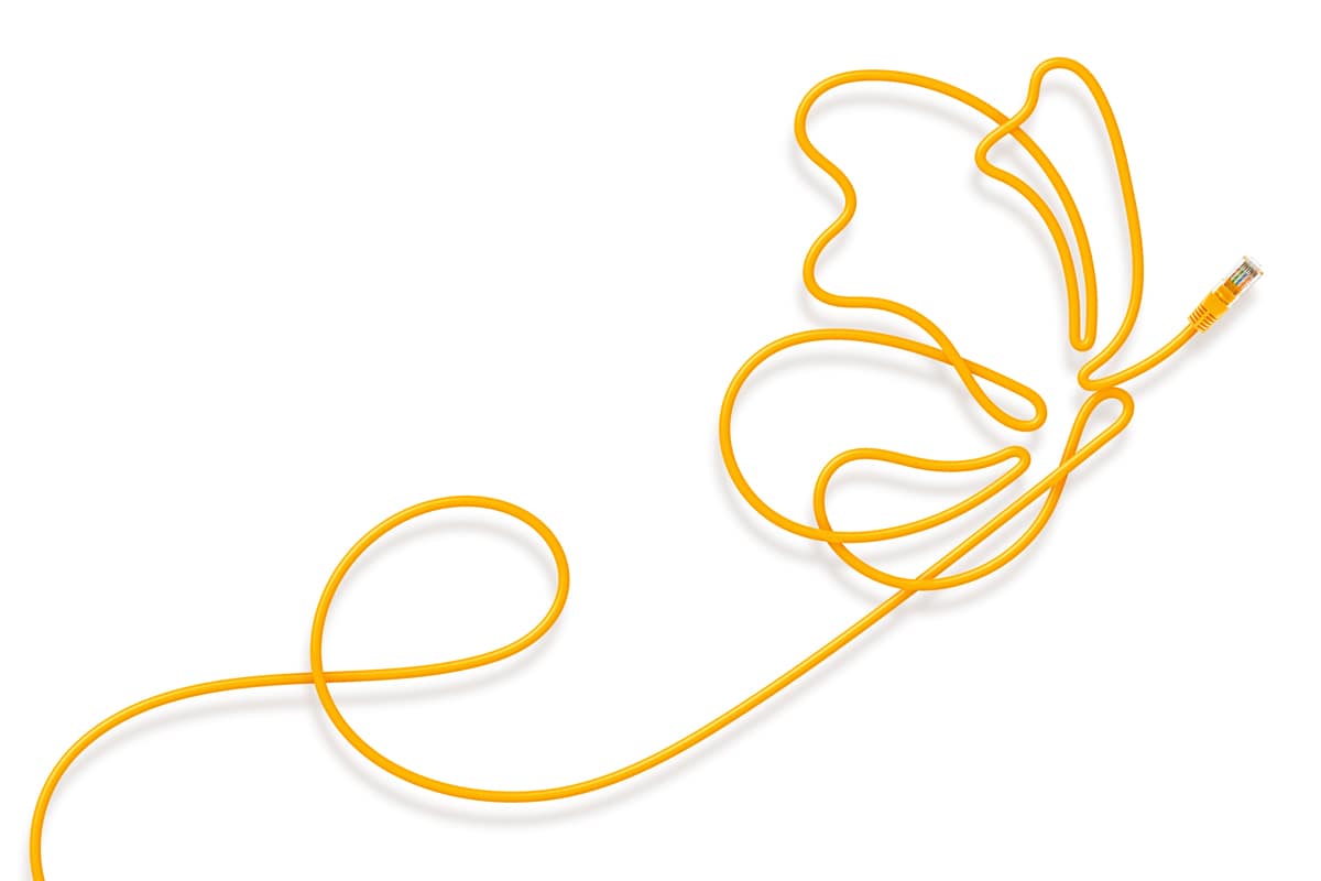 An illustration by Mariaelena Caputi of a stretched lan cable creating the profile of a flying butterfly. The image represents the necessary digital transformation that every company should address to improve its performance and stay competitive in the market.