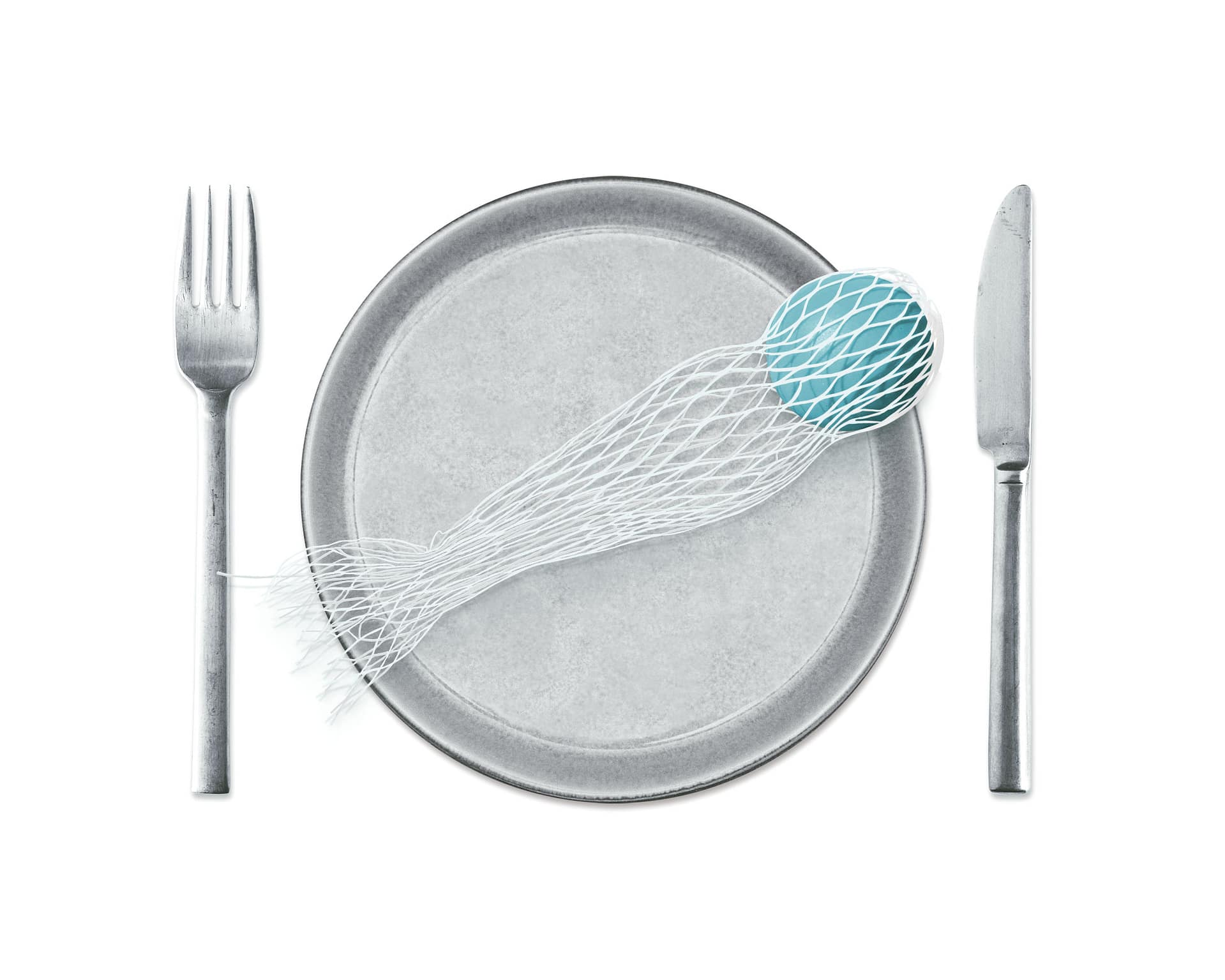 There Is Plastic In Your Fish