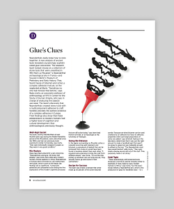 An illustration by Mariaelena Caputi depicting a jar of glue whose container is composed of an evolutionary scale.